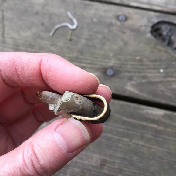 Ammonite Fossil Pendant with Brass Bail NWOT - Picture 7 of 14